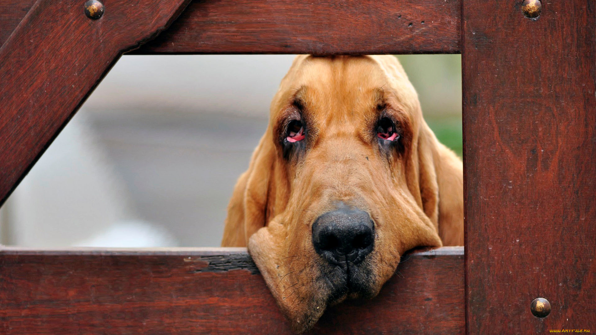 Фото взято из открытого источника