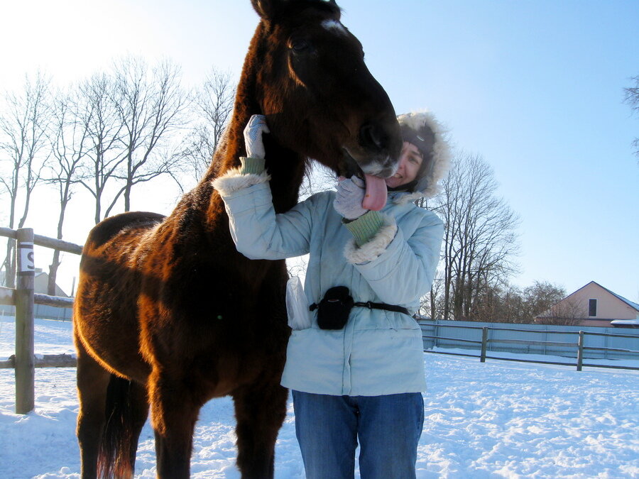 Лошадь Гонг (Гонжик) и я