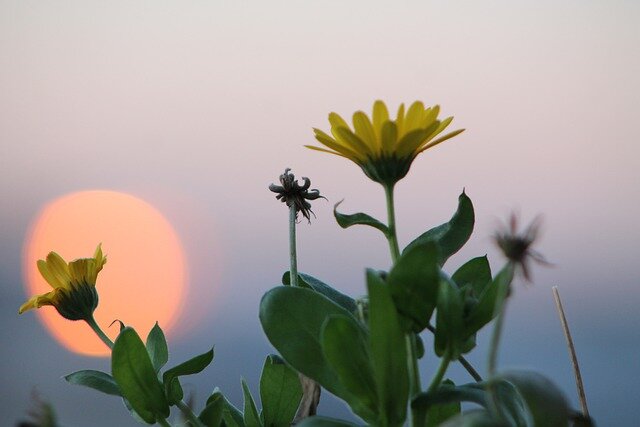 Весной Купидон всегда бьёт в "десятку"!