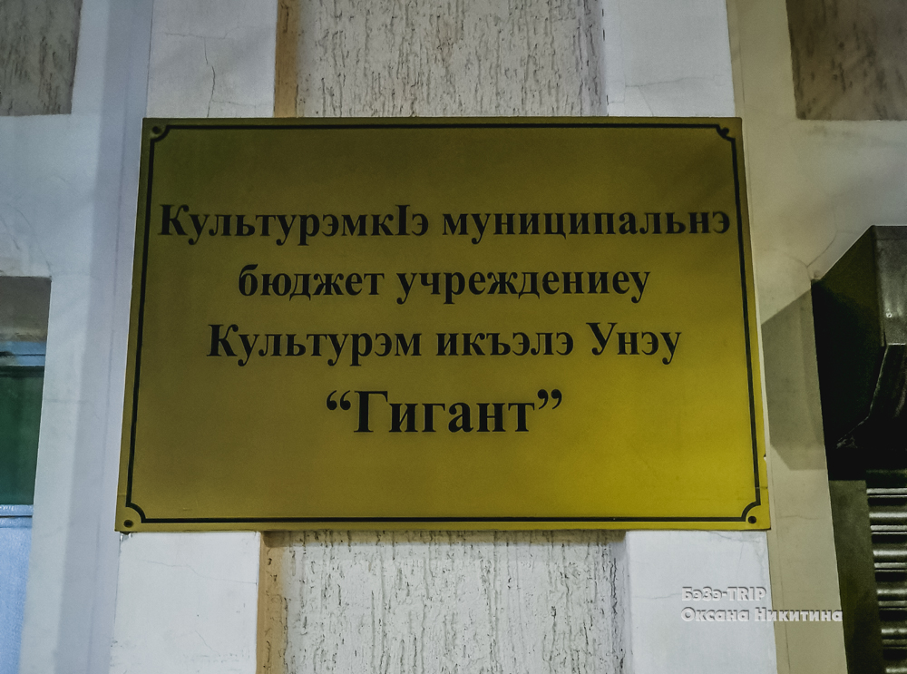 Вышла ночью погулять по столице кавказской республики. Столько внимания к моей персоне еще не было:)3