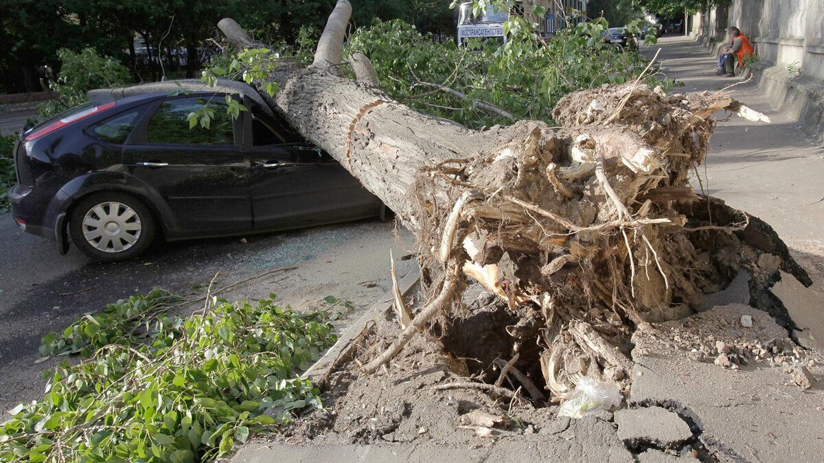 Будем благодарны за Ваши лайки и подписку, они наполняют нас энергией и обеспечивают долголетие канала. 
