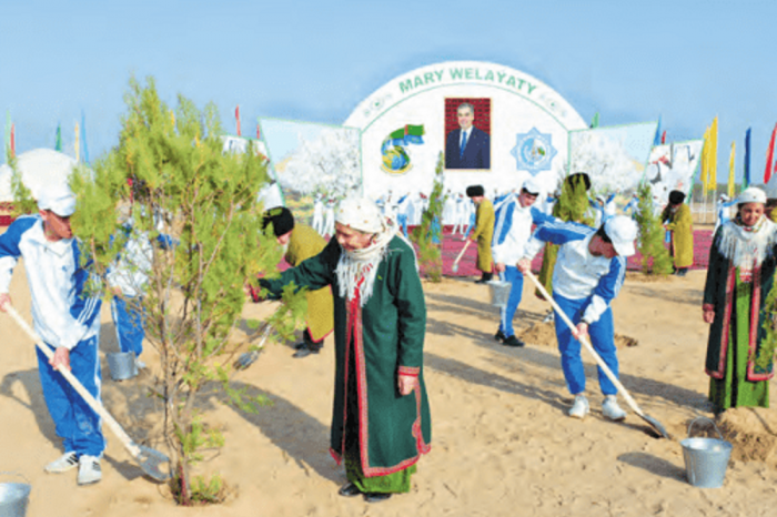 Источник фото: tdh.gov.tm