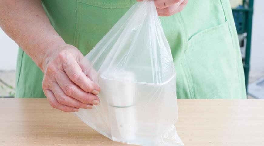 Семена на туалетной бумаге в полиэтиленовом пакете.