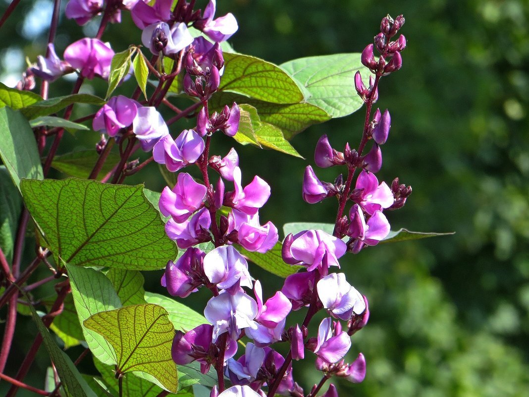 Источник фото: Яндекс. Картинки