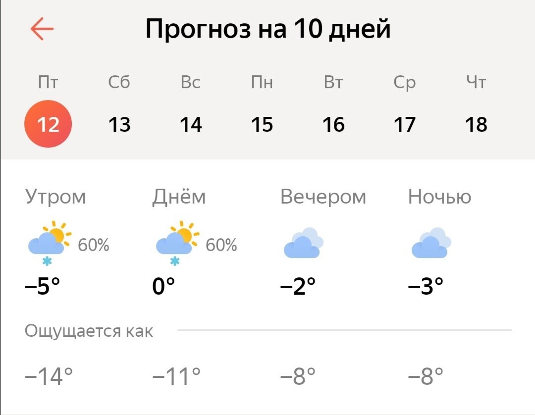 Аномально холодный март в Краснодаре | Жизнь и Чувства | Дзен