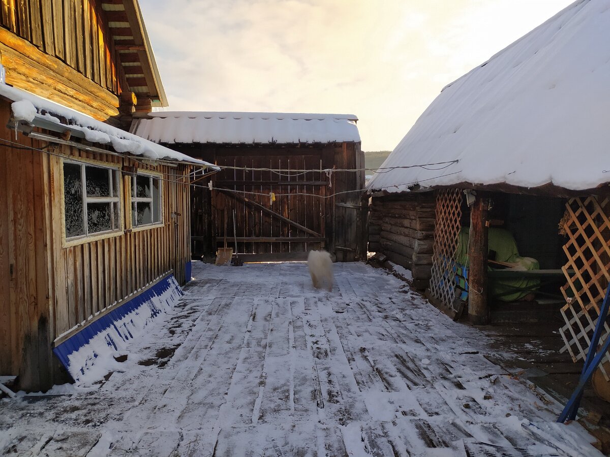 Фото автора