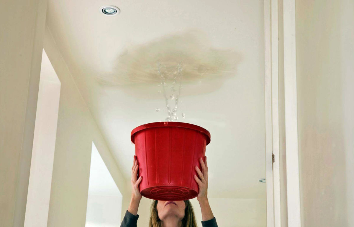 Фото с Яндекс.Картинки