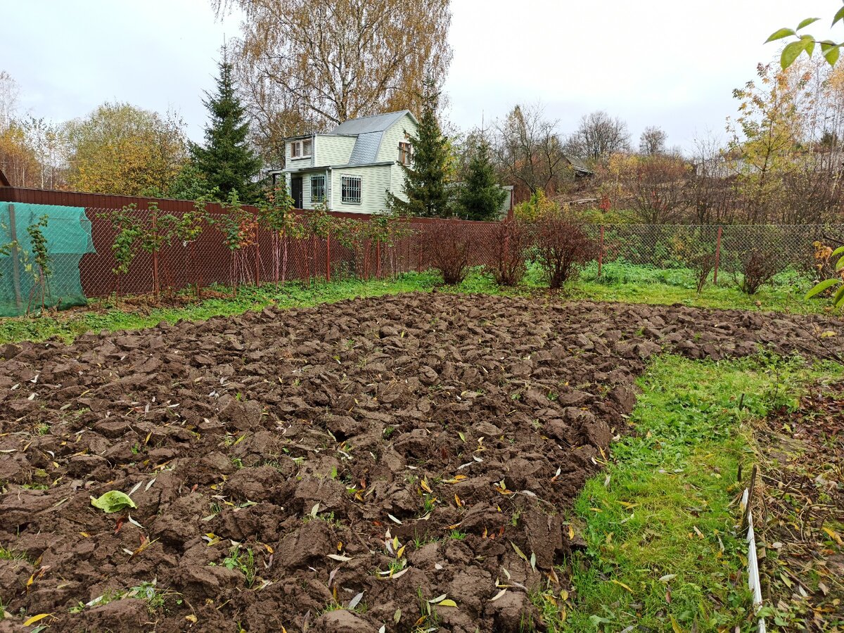 красивая ферма. личных подсобных хозяйств. земельные участки для личного подсобного. лпх. планировка участка с хозпостройками.