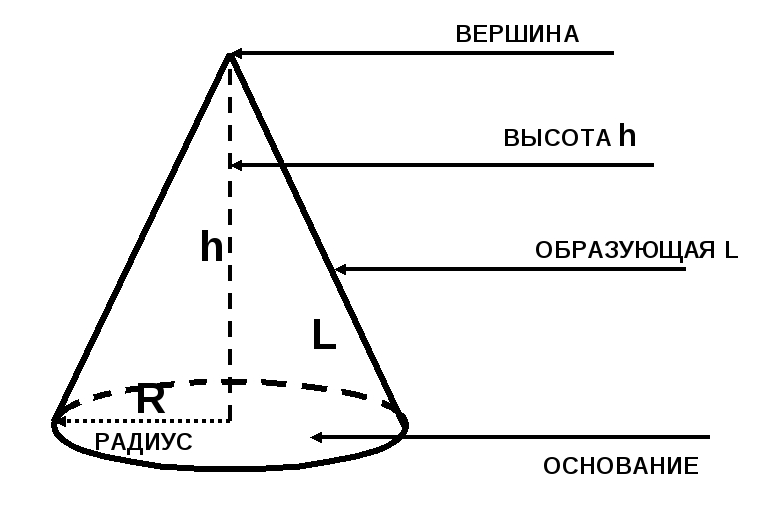 Ключевым понятием, которое используется для классификации конических сечений является образующая  – отрезок, соединяющий вершину конуса с любой точкой окружности основания.