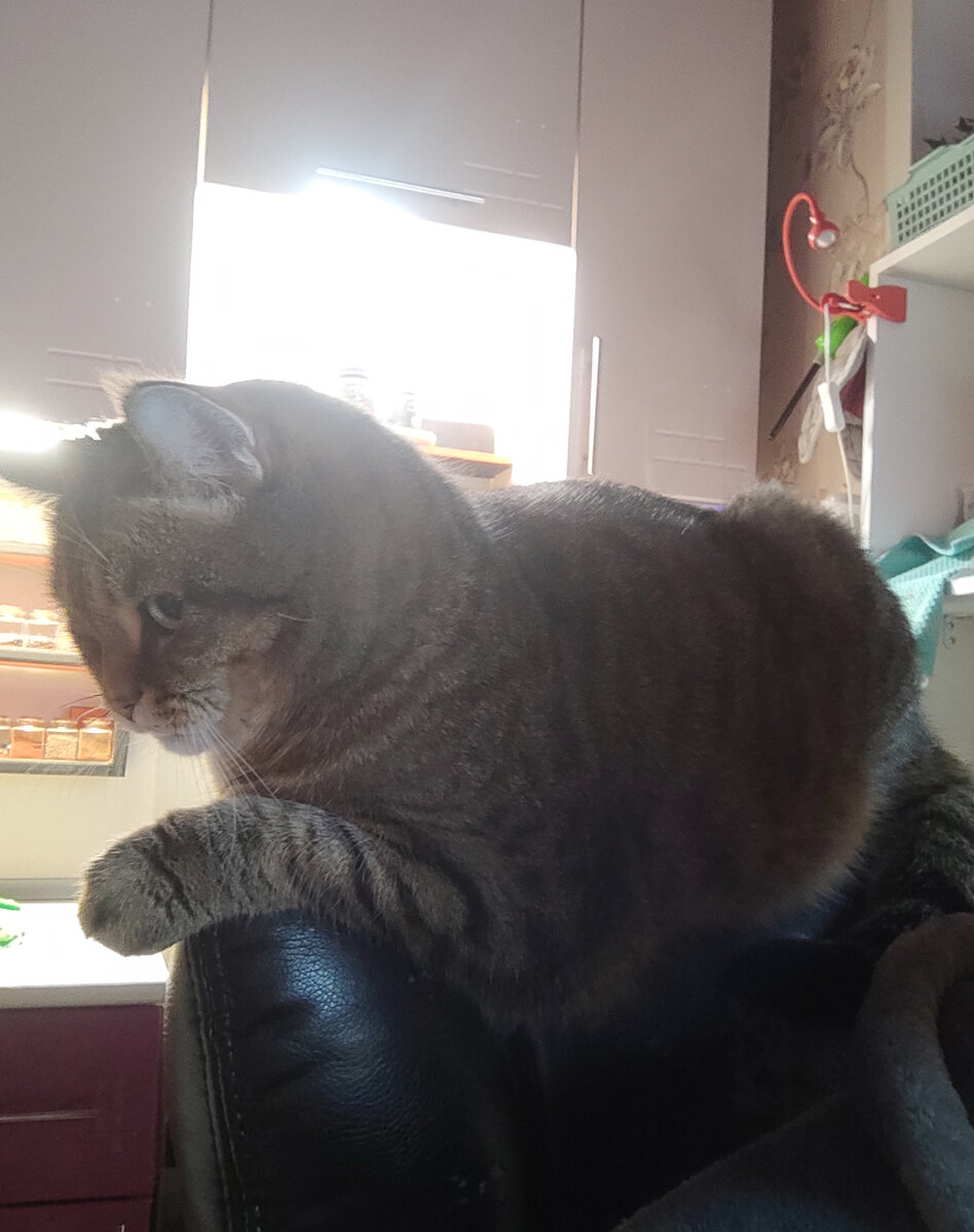 - Что значит не успеваешь! Плохо учился в школе??? Я тебе не Марь Иванна!