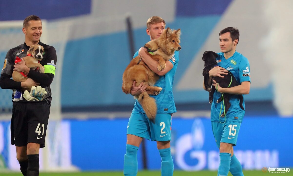 Фото: Игорь Русак/«Фонтанка.ру»