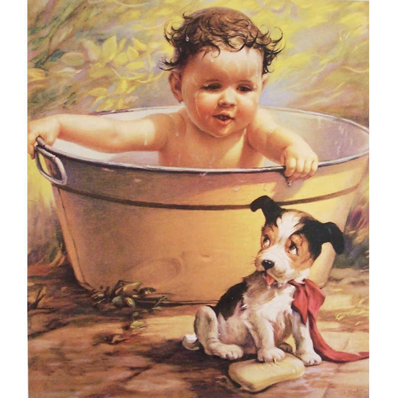           Яндекс картинки