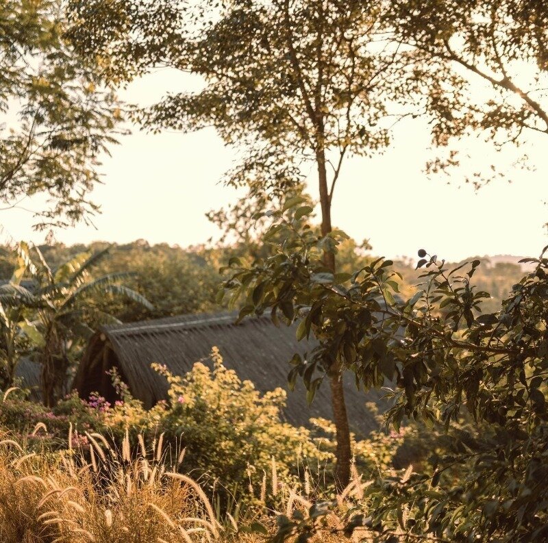 Фото instagram.com/p/CYCvXIbrQBj/