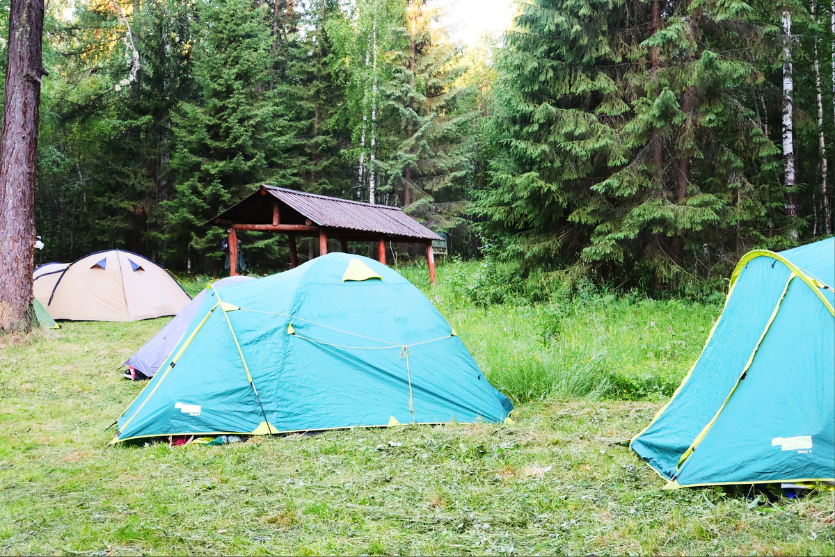 Наш лагерь в ПП "Оленьи ручьи (листайте фото)