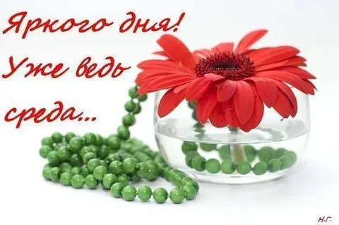 ЯНДЕКС.КАРТИНКИ