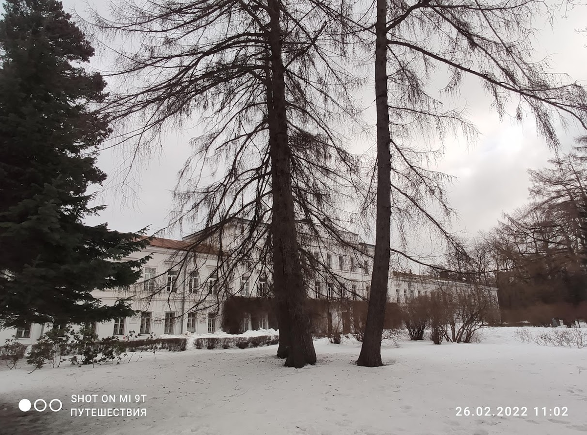 Санкт-Петербург. Парк Лесотехнической академии. Фото автора (листайте галерею)