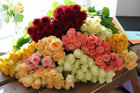 Картинка из свободных источников