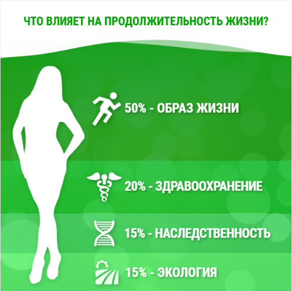 Что влияет на продолжительность жизни