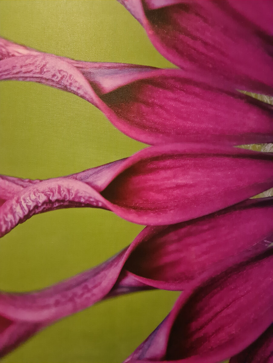 Друзья, давайте знакомиться! Меня зовут Корелова Ирина. Я - астролог. В этом блоге (канале) я буду писать об интересных с точки зрения астрологии вещах. И начну вот с чего: недавно на экраны вышел 2й сезон сериала "Чикатило", главную роль в котором блестяще сыграл актер Дмитрий Нагиев. Меня, как астролога, заинтересовала биография А.Р. Чикатило (его феномен интересует многих исследователей) и дата рождения. Ознакомясь с его биографией, я составила натальную карту А.Р. Чикатило, и мне сразу бросились в глаза два аспекта... Если бы его мама об этом знала! Знала бы о том, во что могут вылиться её наказания, то я уверена, что она не вела бы себя так с ним, даже несмотря на сложные времена.

Да, с детьми часто бывает сложно, родительские нервы не выдерживают, что порой приводит к таким действиям, которые причудливым образом накладывают отпечаток на детскую психику, что в единичных случаях приводит к возникновению таких феноменов, как А.Р. Чикатило.

А вы заметили, друзья, что в последние десятилетия стало больше жестоких детей, от которых не то что стакана воды не дождёшься, даже не прикоснешься к нему, т.к. нет гарантий, что собственный ребёнок не насыпал в него что-то такое, от чего будет трудно очнуться (даже такое бывает, а не только жестокие издевательства над животными или сверстниками). Это происходит потому, что нашим детям раньше времени приходится отделять "зерна от плевел"- они растут в информационно-мусорной среде, на них льются потоки самой разной информации, которую они не могут проанализировать и запутываются в ней, в то время пока их родители заняты (или вообще не хотят своими детьми заниматься,  предоставив их воспитание гаджетам и ИИ). Один выдающийся учёный-астролог современности, признанный авторитет в научных кругах сказал, что натальную карту ребёнка надо составлять сразу после рождения, чтобы родители сразу получали инструкцию к своему чаду, и знали максимум информации о здоровье и характере ребёнка, а значит и воспитывали его индивидуально подобранными способами, а не  "ломали копья", подбирая их самостоятельно. Вопрос неоднозначный, но я уверена, что к подобному мы приблизимся в скором будущем. Если вам интересно, то подписывайтесь на мой канал в Яндекс. Дзен. Вы также можете заказать у меня детскую консультацию (и не только её) Вашего ребёнка, чтобы помочь ему вырасти достойным во всех смыслах человеком. Астролог Корелова Ирина.