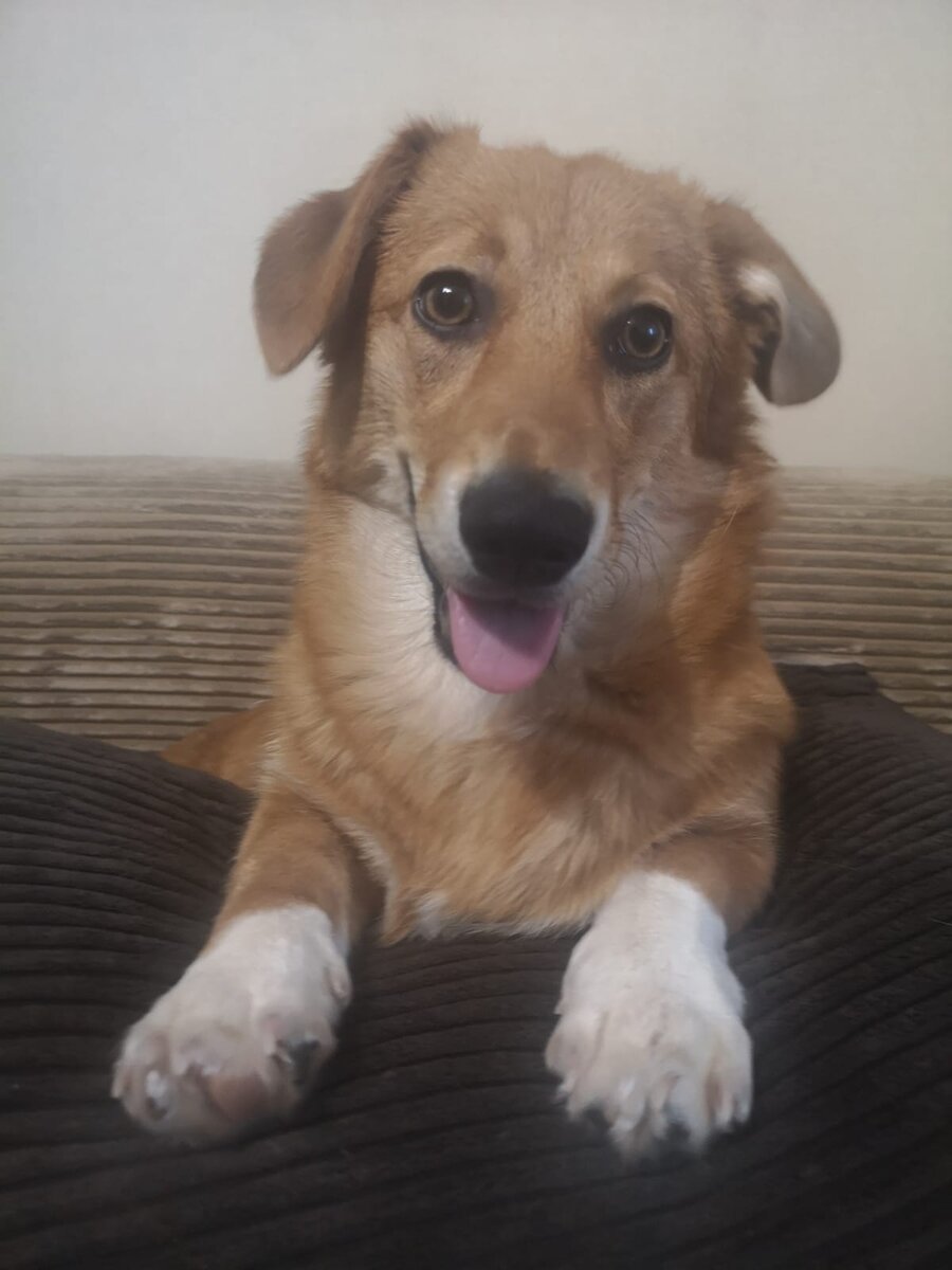 Вот как её не взять с собой? :)