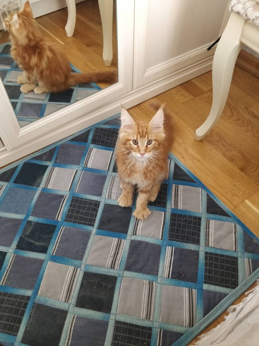 Таким Кузьма приехал к нам