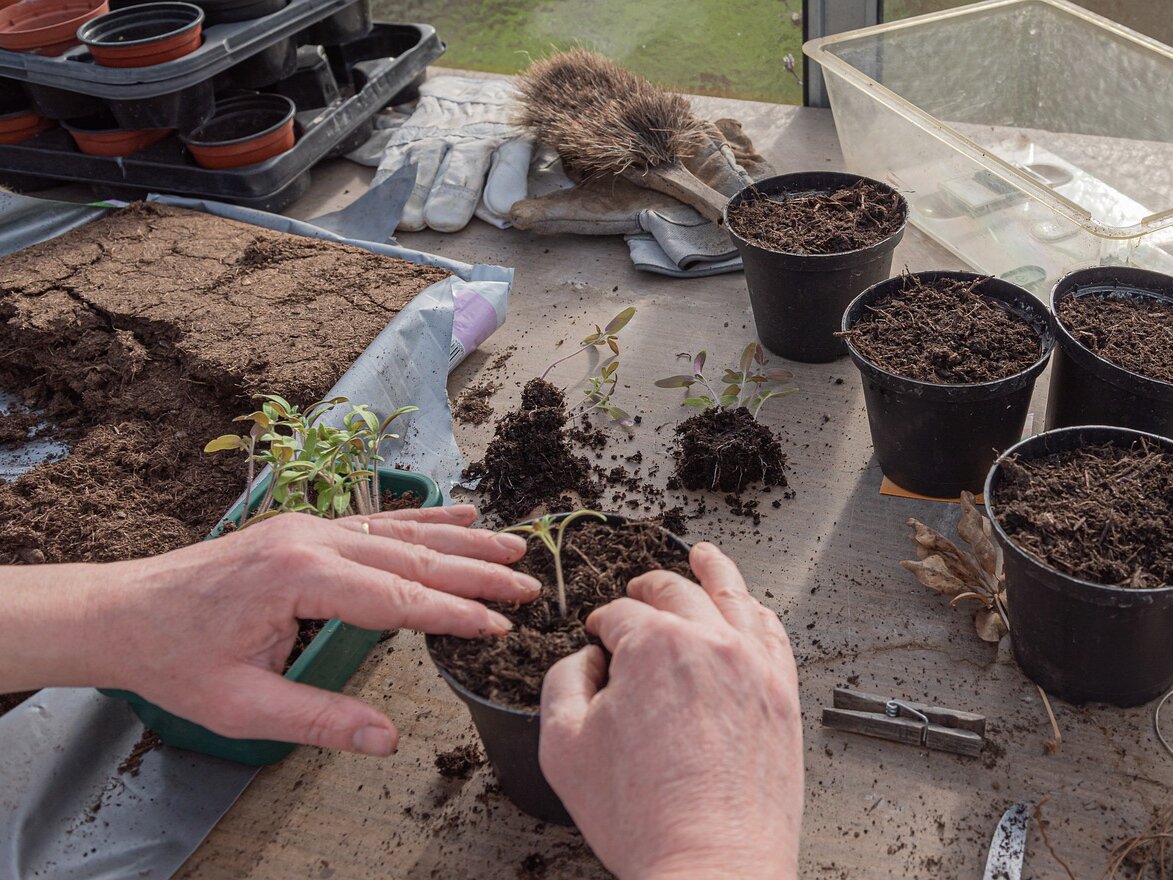 Фото: pixabay.com