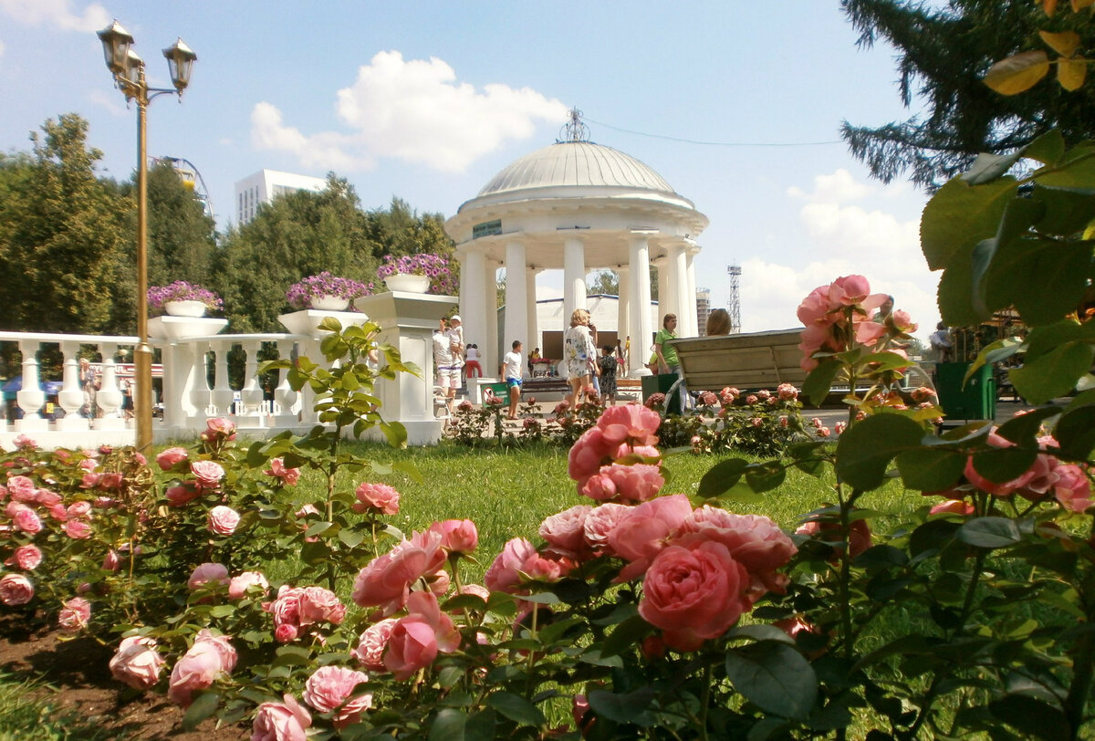 Сады Бутчартов сад роз