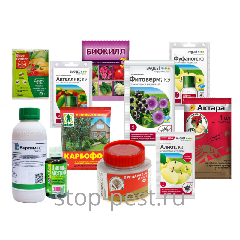 фото сайта https://stop-pest.ru
