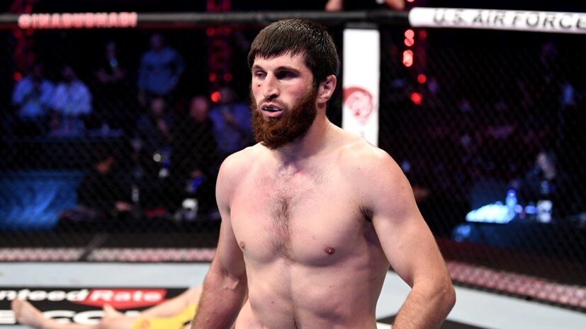     Боец UFC Магомед Анкалаев Gettyimages.ru Josh Hedges / Contributor
