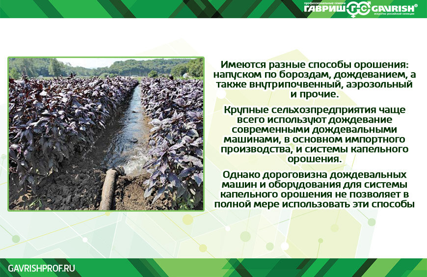 Заболачивание почв. Увлажнение почвы с помощью полупара. Растения в воде. Переувлажненные почвы. Увлажнение грунта под рассаду.