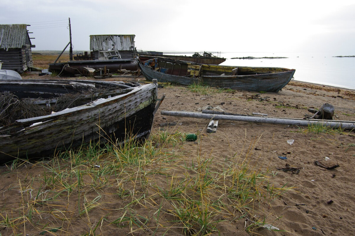 Поморские карбасы на побережье Белого моря. Фото: С.Дудов