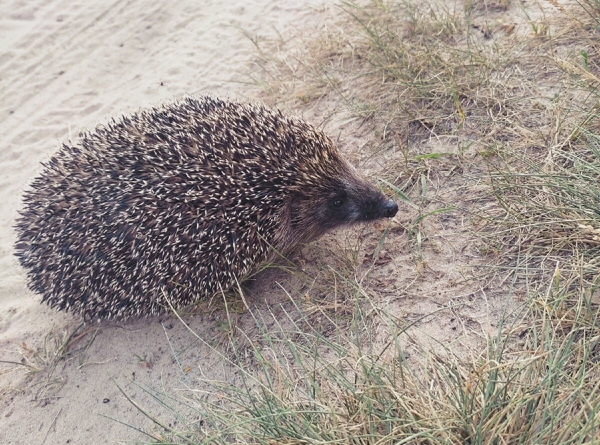 Фотография автора