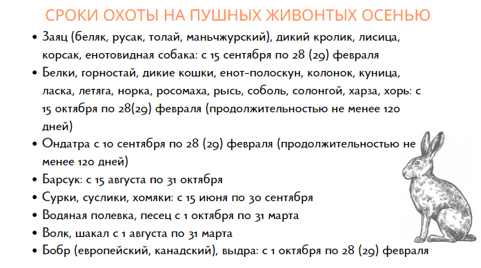 Сроки проведения охоты на пушную дичь осенью 2022