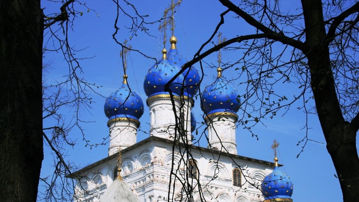 Святая Анна является единственной женщиной Нового Завета, которую прозвали пророчицей. Фото: Pxfuel.com