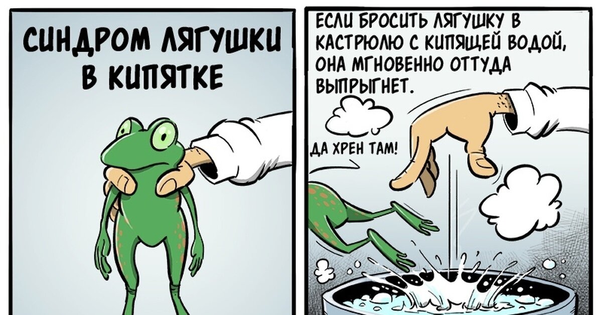 Полезный совет.