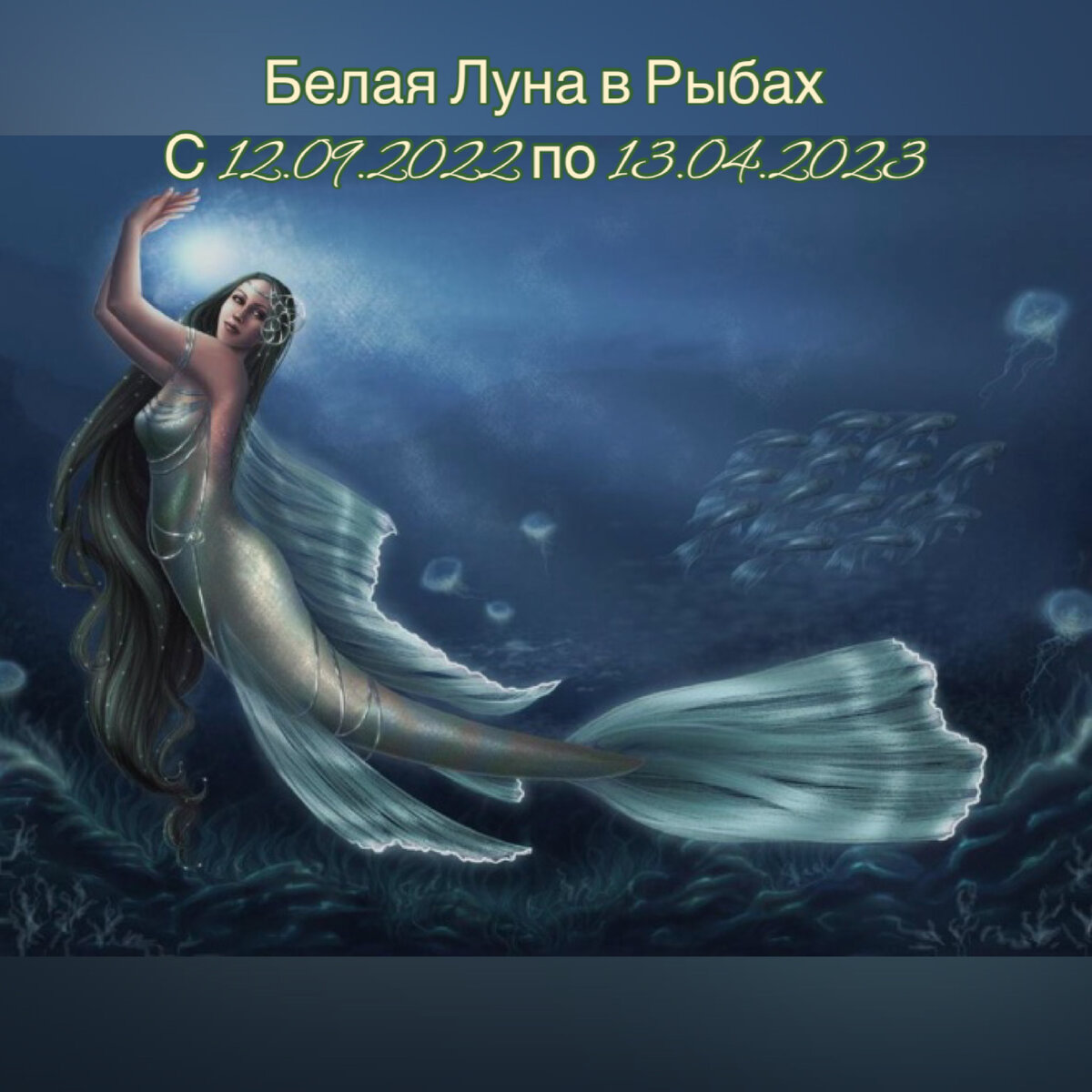 #ХельгаЛарсен #HelgaLarsen #белаялуна #рыбы #астролог #астрология #астропрогноз #москва 