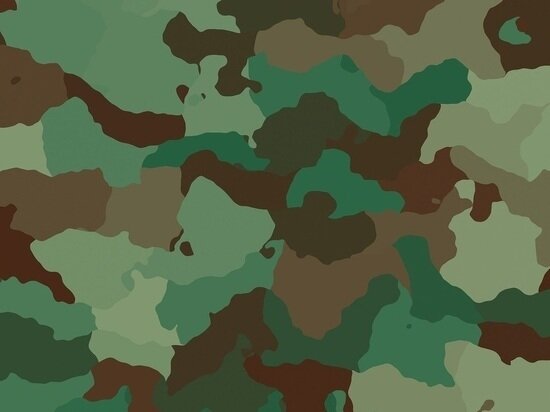     Изображение: PIXABAY.COM