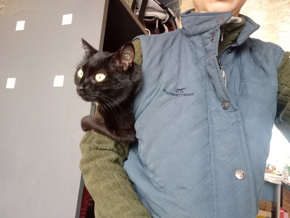 Так мы ходили с Маслины по дому, так как вылезать из недр моих теплых кофт кошка категорически отказывалась. Ну и меня дополнительно обогревал ее маленький мурчащий моторчик