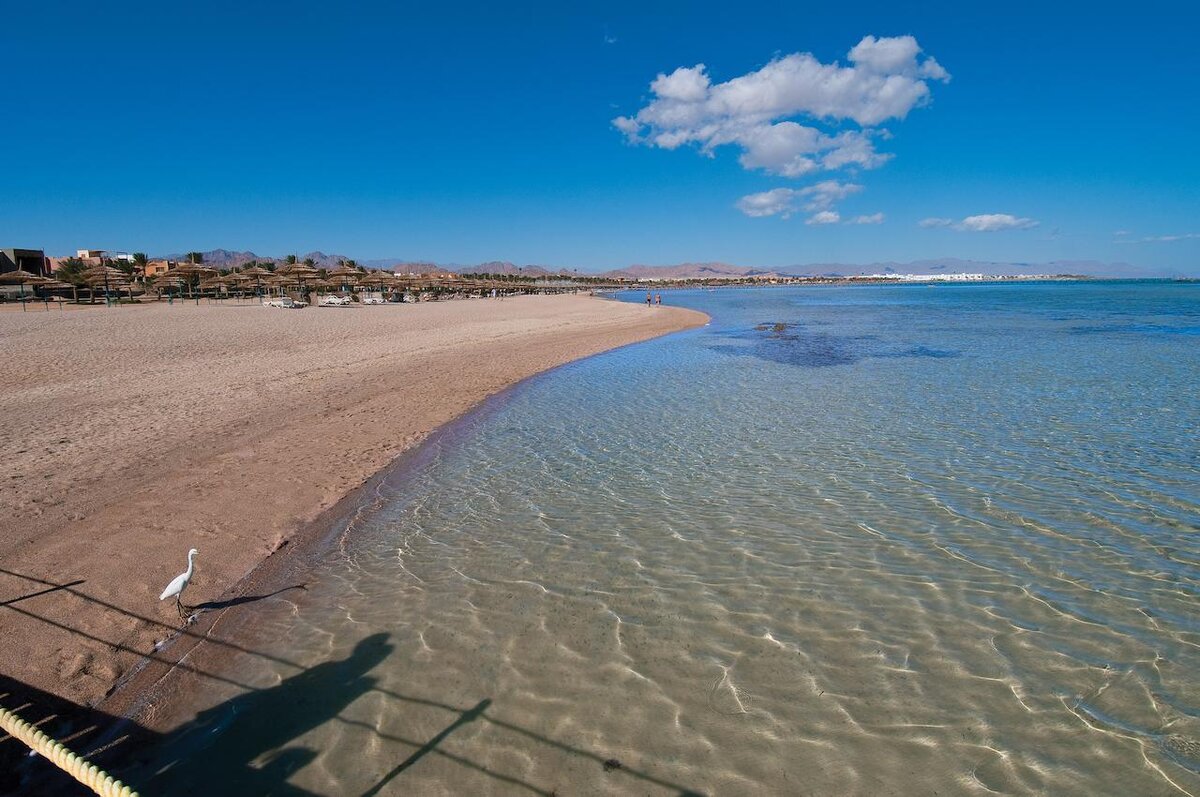 Море Шарм Эль Шейх бухта Набк