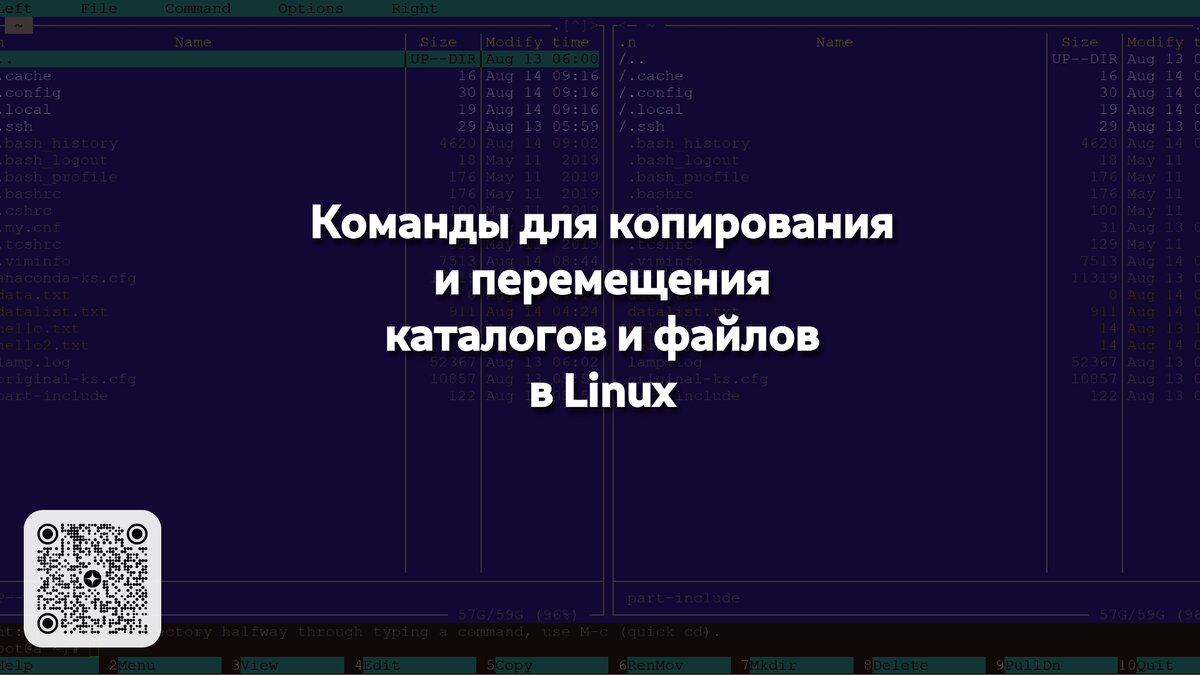 Команды для копирования и перемещения каталогов и файлов в Linux | Linux  для чайников: гайды, статьи и обзоры | Дзен