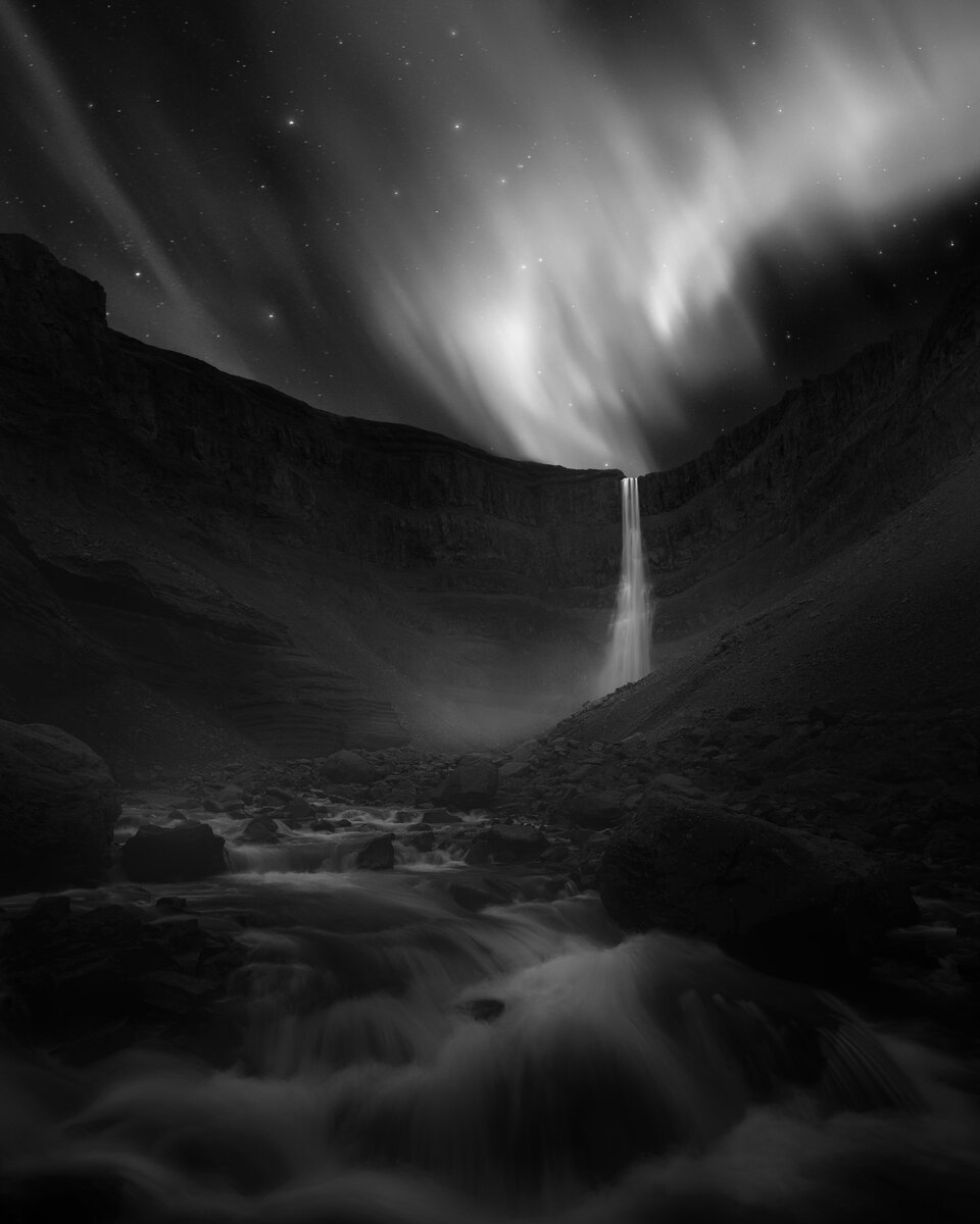 � Daniel Laan (����������) ������� "������� ��������"�.������� ������ The Black & White Award, 2022 | ILPOTY�2022