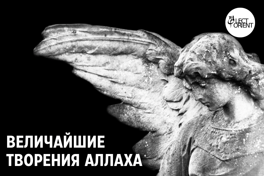 Фото взято из открытого фотостока Canva