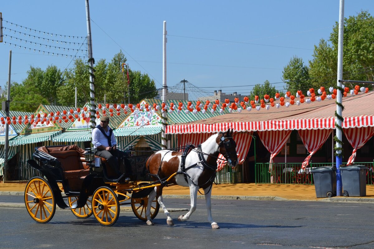 Испания. Севилья. Фото автора.