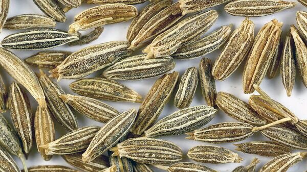    CC BY-SA 3.0 / Sanjay Acharya / Sa cumin