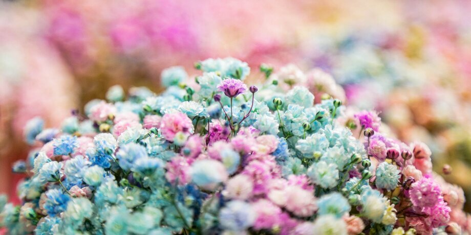 Фото: Москва 24/Лидия Широнина