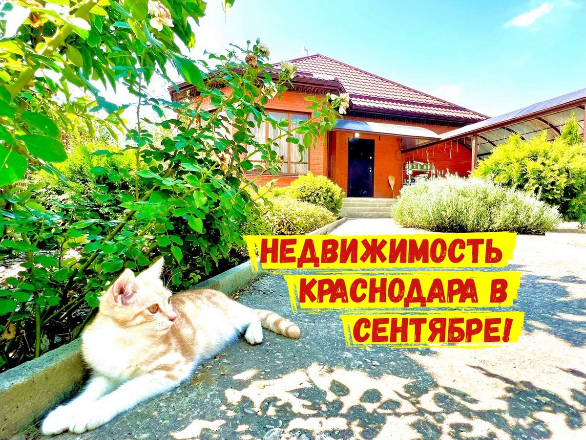 Недвижимость Краснодара в сентябре