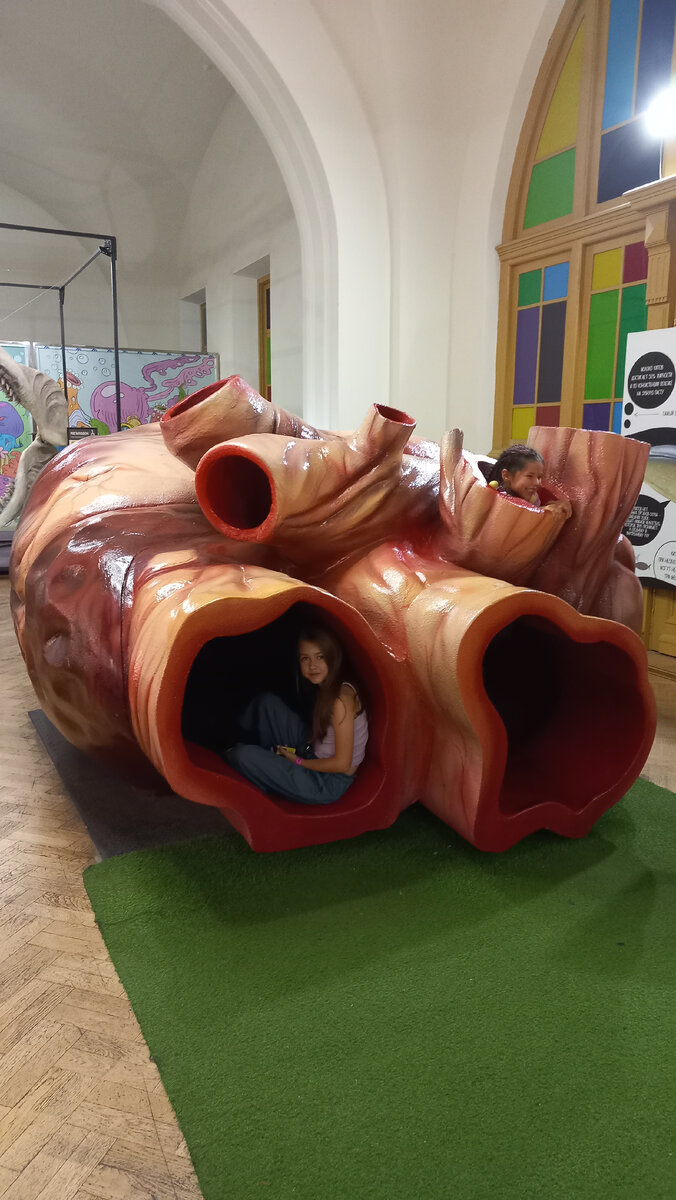 Титикака Санкт-Петербург 