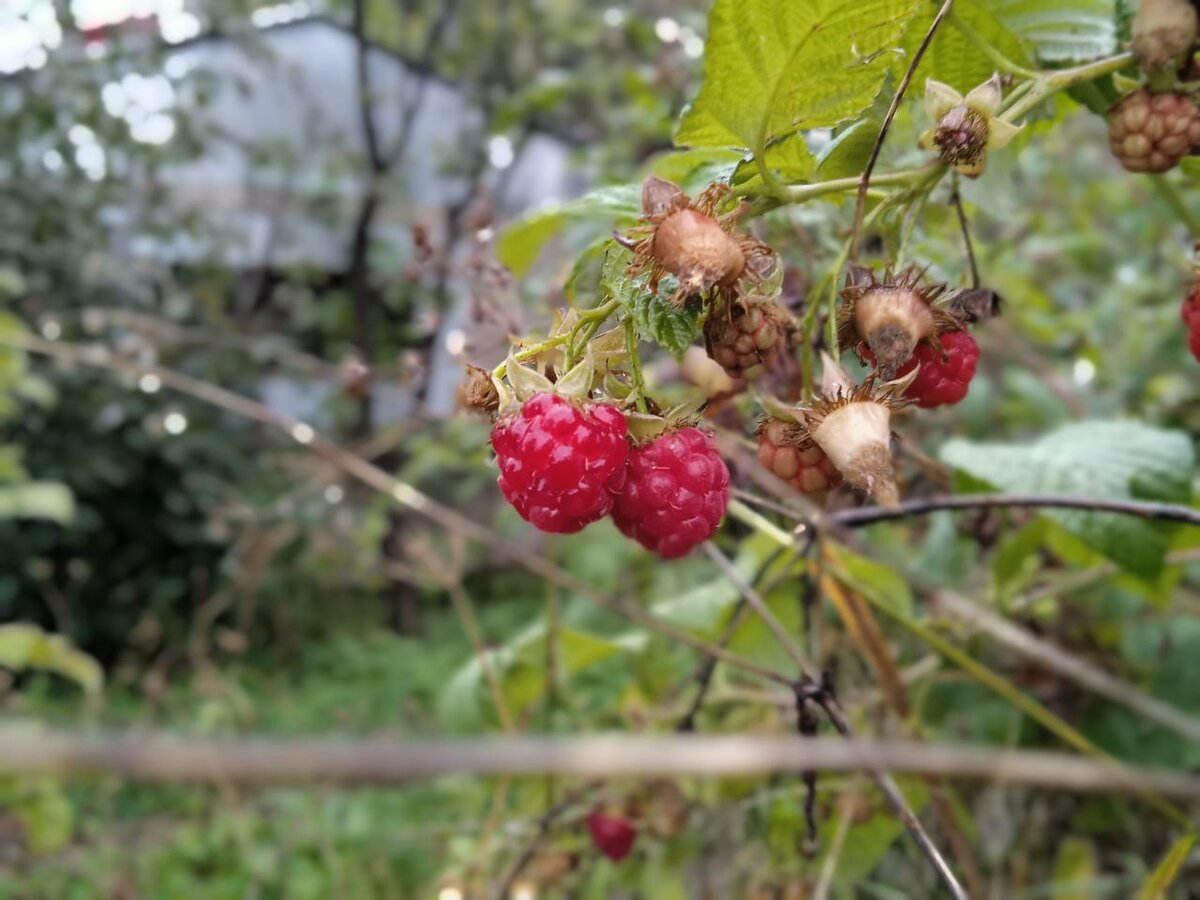 Очень красивую.