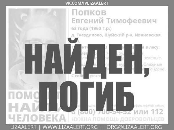     Погибшего в шуйских лесах мужчину пытались найти с помощью самолета, вертолета и тепловизора