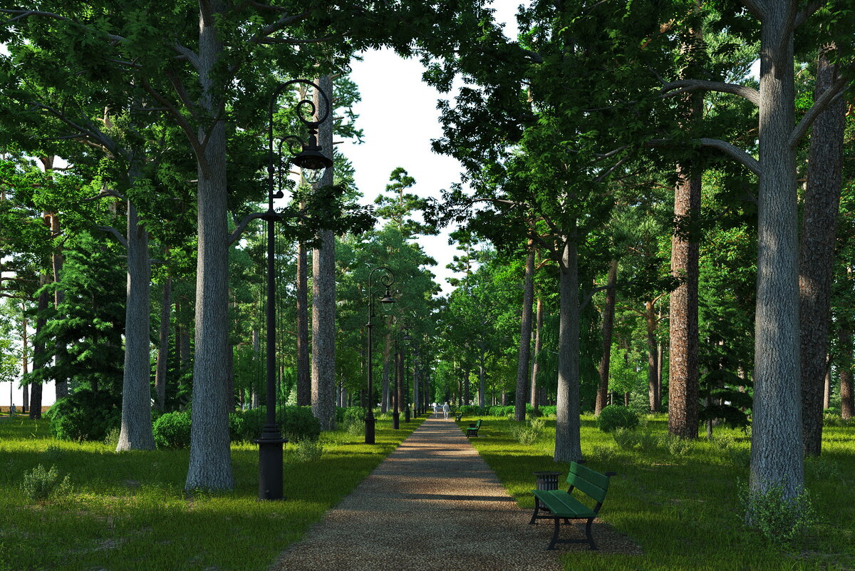 компьютерная сестрорецк